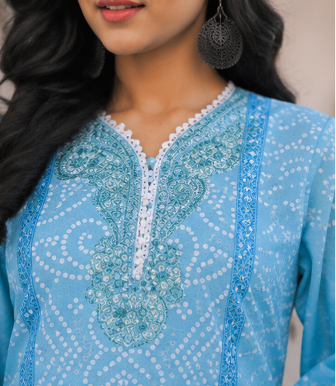 Powder Blue Embroidered Suit Set