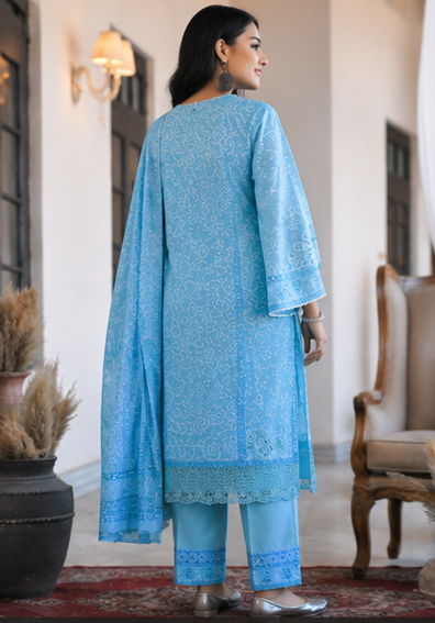Powder Blue Embroidered Suit Set
